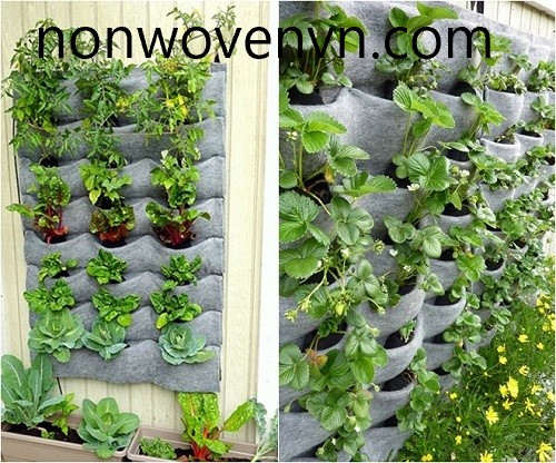 Túi trồng cây treo tường - Wall hanging planting bag 